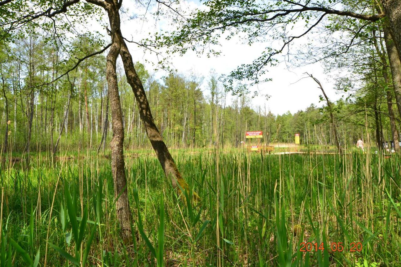 Osrodek Wypoczynkowo-Turystyczny Perla Krutyni Hotel Nowy Most ภายนอก รูปภาพ